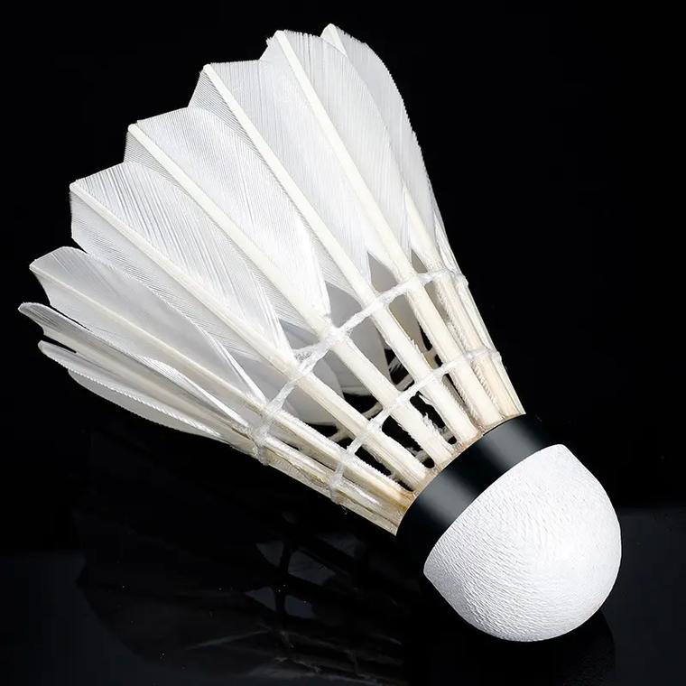 邹城体育中心上演青春对决 山东泰山B队主场战平湖北青年星.